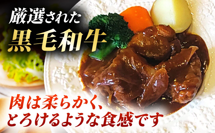 熊本県産 黒毛和牛 こだわりのビーフシチュー 計2パック （約250g×2パック） ビーフシチュー ビーフ シチュー 牛肉 肉 　【有限会社スイートサプライなかぞの】 [ZBV107]