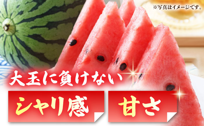 【先行予約】黒小玉 スイカ (ひとりじめ BonBon) 2玉 計約5kg【岡山農園】 [ZBY001]