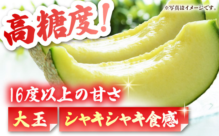 【先行予約】 肥後グリーンメロン 糖度16度以上 2玉 計約4.6kg【岡山農園】 [ZBY002]