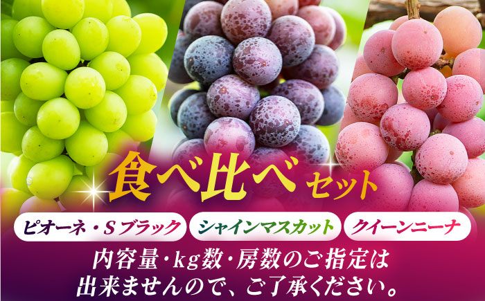 【2026年発送先行予約】ぶどうの宝石 3色 贅沢食べ比べセット 計2.5～3kg（4～6房）【合同会社 社方園】 [ZBZ017]