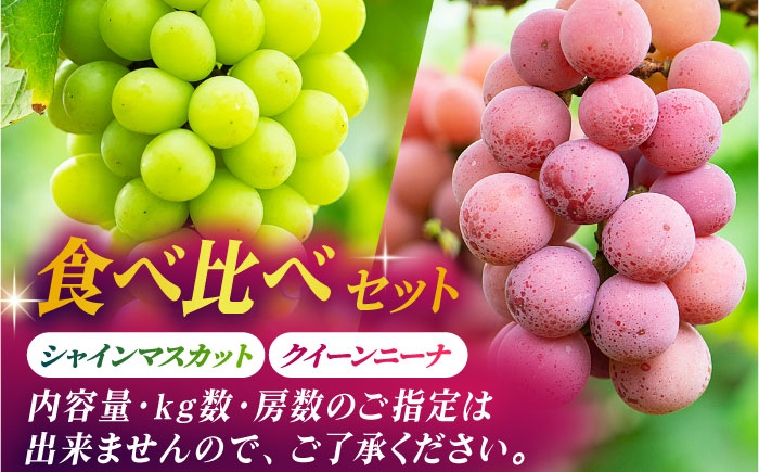【2026年発送先行予約】食べ比べセット 800g（シャインマスカット & クイーンニーナ 各一房）【合同会社 社方園】 [ZBZ018]