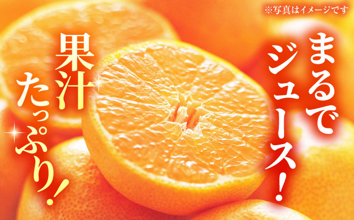 【先行予約】【2回定期便】【訳あり】家庭用 みかん 約5kg 詰め合わせ 柑橘【合同会社 社方園】 [ZBZ034]