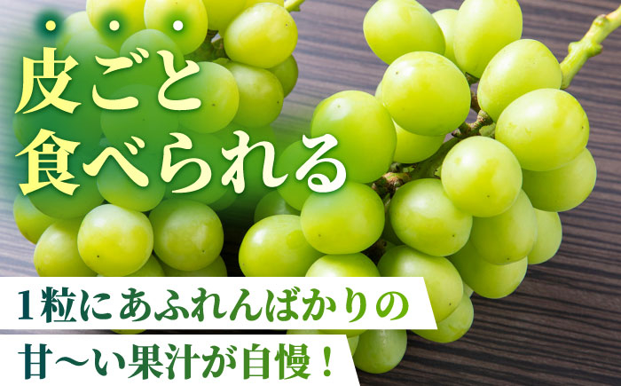 【先行予約】【訳あり】シャインマスカット 約600g(1～2房)【合同会社 社方園】 [ZBZ035]