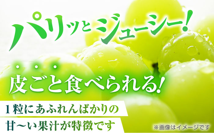 【先行予約】【3回定期便】 訳あり シャインマスカット 切り落とし 約1kg  【合同会社 社方園】 [ZBZ047]