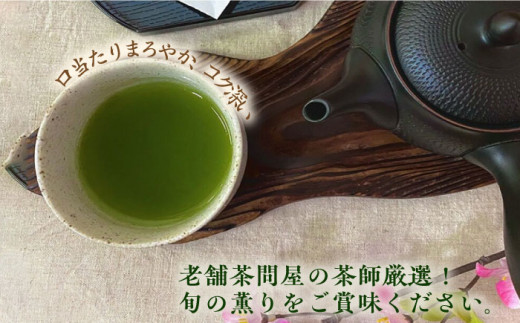 高級茶『山鹿市岳間茶』2袋ギフトセット 【岳間の郷ひがし】 [ZCH005]