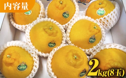 【先行予約】デコポン 約2kg【かきやま果実】 フルーツ 果物 でこぽん 熊本県 柑橘  [ZCJ001]