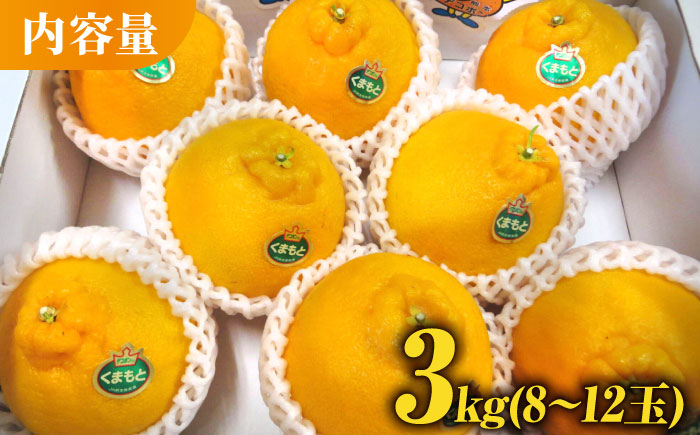 【先行予約】デコポン 約3kg 化粧箱入り【かきやま果実】フルーツ 果物 でこぽん 熊本県 [ZCJ002]