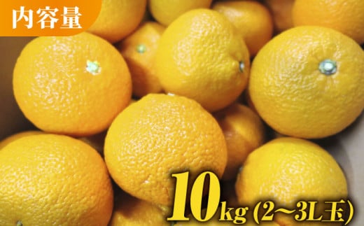 【先行予約】スイートスプリング 2～3L玉 約10kg化粧箱入り【かきやま果実】 [ZCJ009]