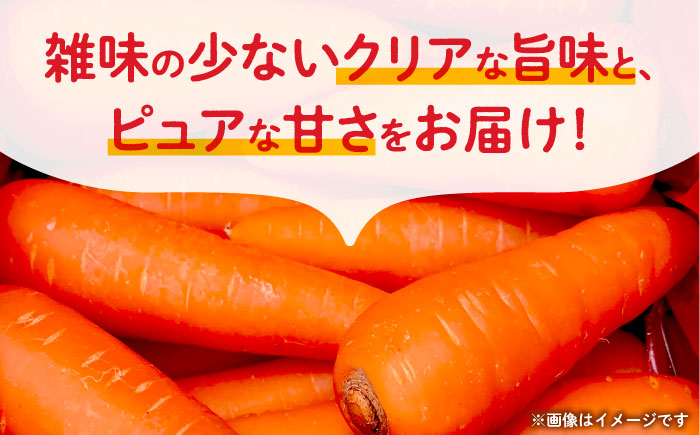 【先行予約】にんじん 約3kg 天日塩＆発酵土壌で作ったこだわりの人参 【株式会社 夢アグリ】 [ZCL018]
