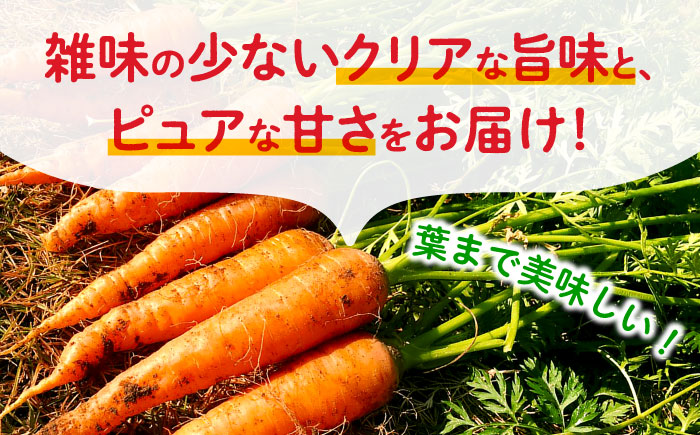 【先行予約】葉付きにんじん 約5kg　天日塩＆発酵土壌で作ったこだわりの人参 【株式会社 夢アグリ】 [ZCL021]