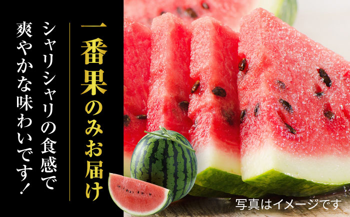 【先行予約】大玉 すいか Lサイズ【株式会社 前田ファーム】 [ZCM001]