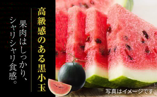 【先行予約】黒小玉 スイカ と アールスメロン セット 【株式会社 前田ファーム】 [ZCM003]