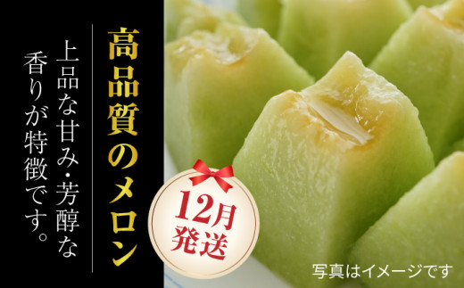 年内発送 クリスマスメロン セット【株式会社 前田ファーム】 [ZCM004]