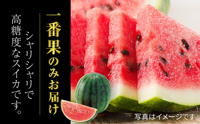 【先行予約】小玉スイカ ひとりじめ 4玉 2Lサイズ 【株式会社 前田ファーム】 [ZCM012]