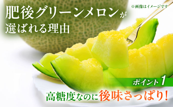 【先行予約】 肥後グリーン メロン 2玉【合同会社 福福堂】 [ZCN003]