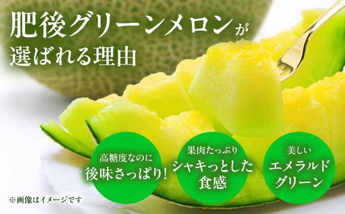 【先行予約】 肥後グリーン メロン 1玉＆小玉 すいか 1玉【合同会社 福福堂】 [ZCN004]