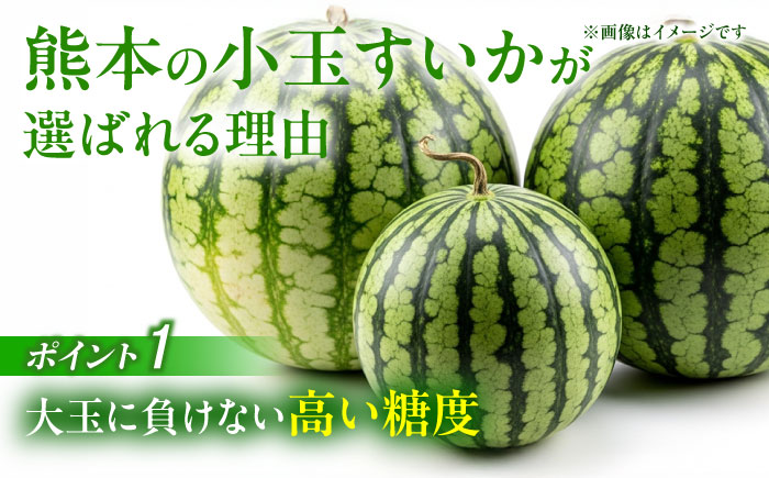 【先行予約】 小玉 すいか 2玉【合同会社 福福堂】 [ZCN005]