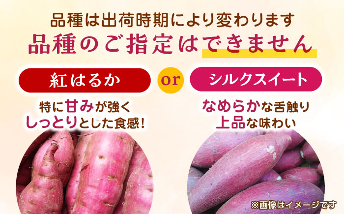 【年内発送は12月21日ご入金分まで！】 さつまいも 紅はるか or シルクスイート 蜜芋 5kg【合同会社 福福堂】 [ZCN013]