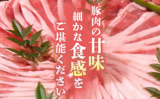 豚帝  ギフトセット 【KRAZY MEAT(小田畜産)】 [ZCP002]