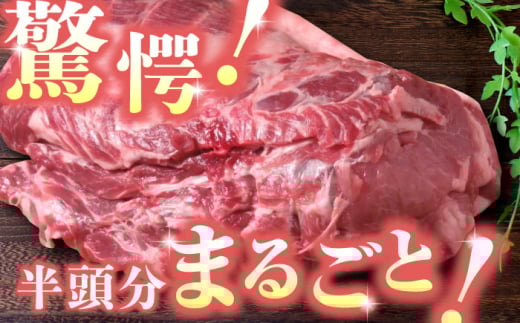 豚帝  肩ロース ブロック (半頭分) 約2kg【KRAZY MEAT(小田畜産)】 [ZCP006]