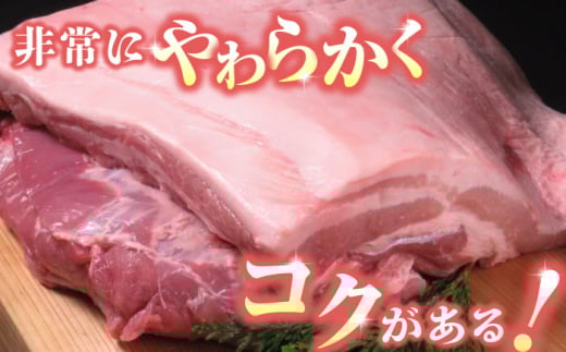 豚帝  豚バラ ブロック (半頭分)約4.5kg【KRAZY MEAT(小田畜産)】 [ZCP008]