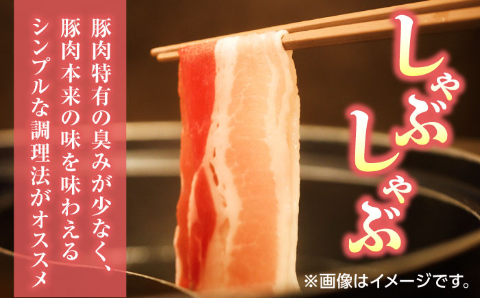 【3回定期便】豚帝 豚バラスライス 600g（300g×2pc）【KRAZY MEAT(小田畜産)】 [ZCP051]