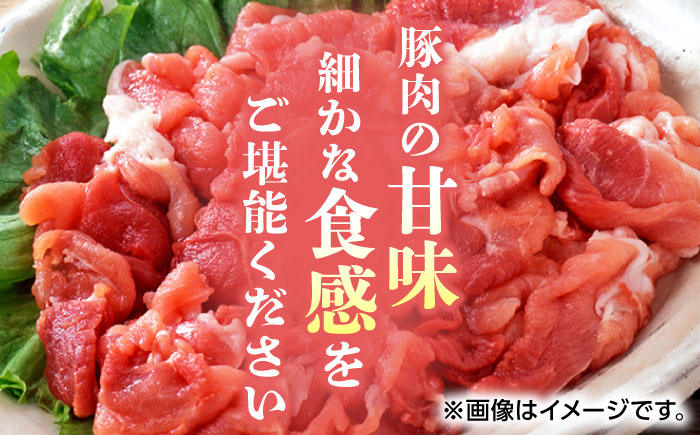 【6回定期便】豚帝 豚モモ こま切れ 切り落とし 1.5kg（300g×5pc）【KRAZY MEAT(小田畜産)】 [ZCP080]