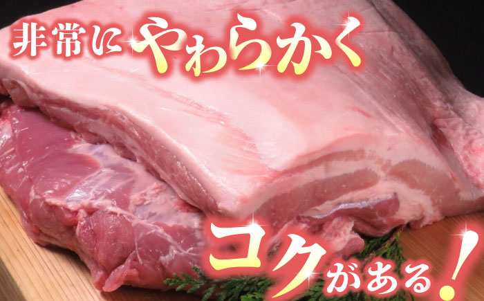 【6回定期便】豚帝  豚バラ ブロック (半頭分)約4.5kg【KRAZY MEAT(小田畜産)】 [ZCP126]