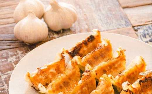 プレミアムにんにく餃子【株式会社 九州ファーム】 [ZCV001]