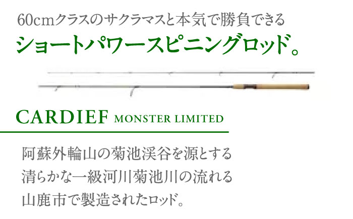 【シマノ釣り具】カーディフ モンスターリミテッドDP73M【高田つりぐ】 [ZCW037]