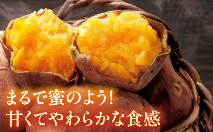 ブランド さつまいも「灯籠蜜いも とろみついも」約5kg【株式会社 アグリファーム未来】 [ZDN001]