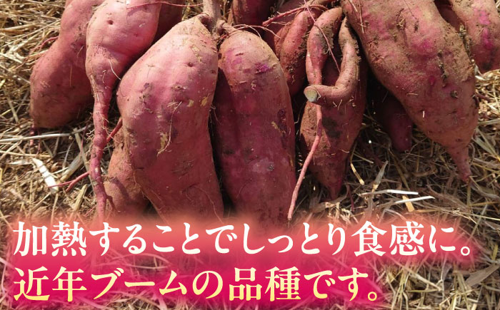 さつまいも 紅はるか 約5kg【株式会社 アグリファーム未来】 [ZDN002]