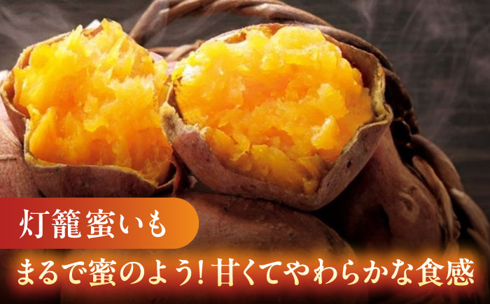 さつまいも 食べ比べ セット「灯籠蜜いも とろみついも」と「 紅はるか 」計 約10kg (各5kg)【株式会社 アグリファーム未来】 [ZDN003]