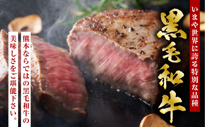 【3回定期便】熊本県産 黒毛和牛 サーロイン ステーキ 3枚 約600g【有限会社九州食肉産業】 ロース 国産 贅沢 お取り寄せ ご褒美 [ZDQ042]