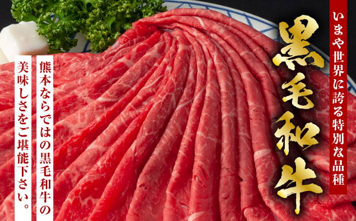 【6回定期便】熊本県産 黒毛和牛 ロース 食べ比べ セット（ステーキ ロース スライス） 約800g 【有限会社 九州食肉産業】 ロース 国産 贅沢 お取り寄せ ご褒美 [ZDQ047]