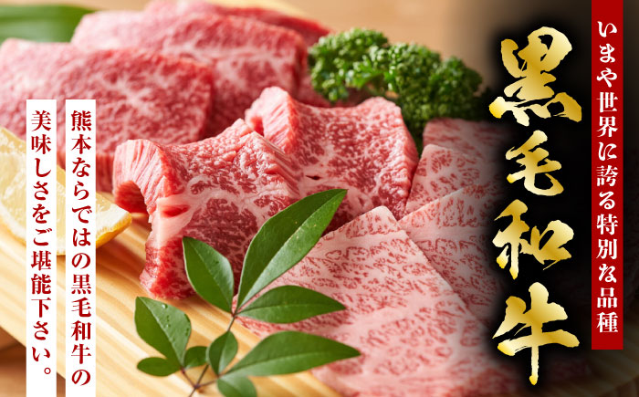 熊本県産 黒毛和牛 焼肉用 食べ比べ セット 約900g【九州食肉産業】  国産 カルビ ロース A4 A5 [ZDQ055]