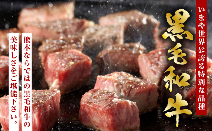 【3回定期便】熊本県産 黒毛和牛 もも 食べ比べ セット 約1kg【九州食肉産業】 ブロック 国産 A4 A5 山鹿  [ZDQ056]