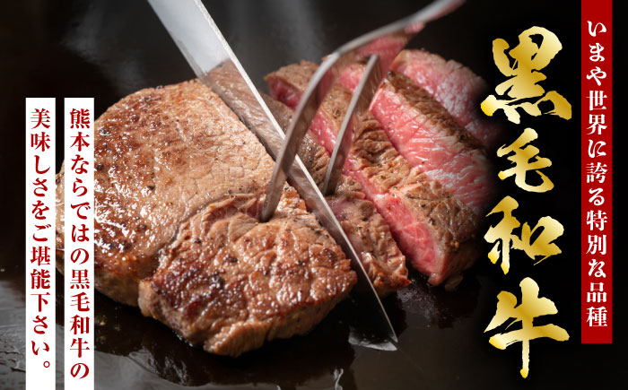 熊本県産 黒毛和牛 ランプステーキ 約800g（約200g×4枚）【有限会社 九州食肉産業】 [ZDQ160]