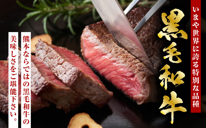 熊本県産 黒毛和牛 ヒレステーキ 約800g（約200g×4枚）【有限会社 九州食肉産業】 [ZDQ162]