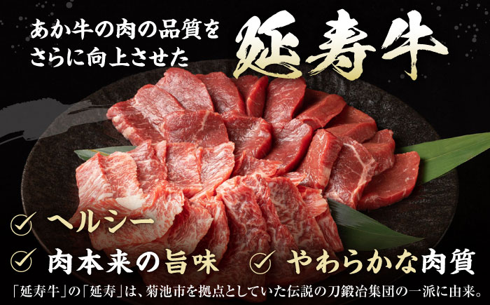 【6回定期便】熊本県産 あか牛『延寿牛』 食べ比べ【有限会社 九州食肉産業】 [ZDQ169]