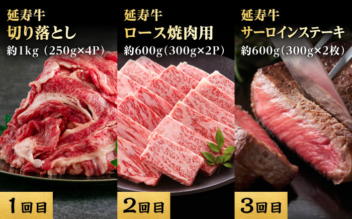 【12回定期便】熊本県産 あか牛『延寿牛』 贅沢食べ比べ【有限会社 九州食肉産業】 [ZDQ170]