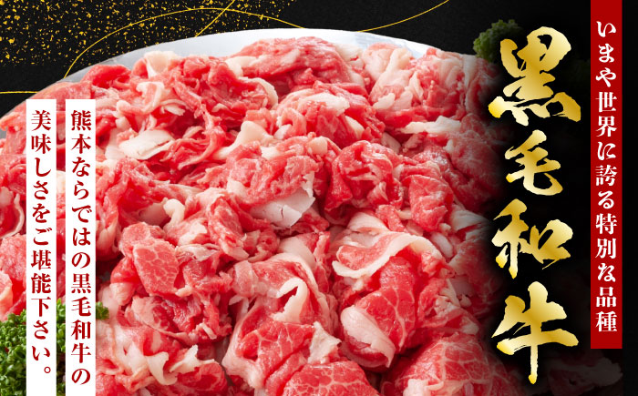 【6回定期便】熊本県産 黒毛和牛 あか牛 馬刺 食べ比べ【有限会社 九州食肉産業】 [ZDQ172]