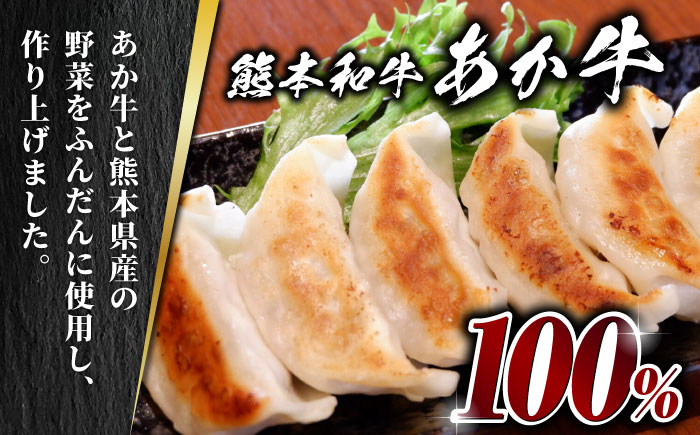 【全3回定期便】熊本和牛 あか牛ぎょうざ 20個×2箱【有限会社 三協畜産】 国産  餃子 ぎょうざ ギョウザ 熊本和牛 和牛 牛 定期 定期便  [ZEB060]