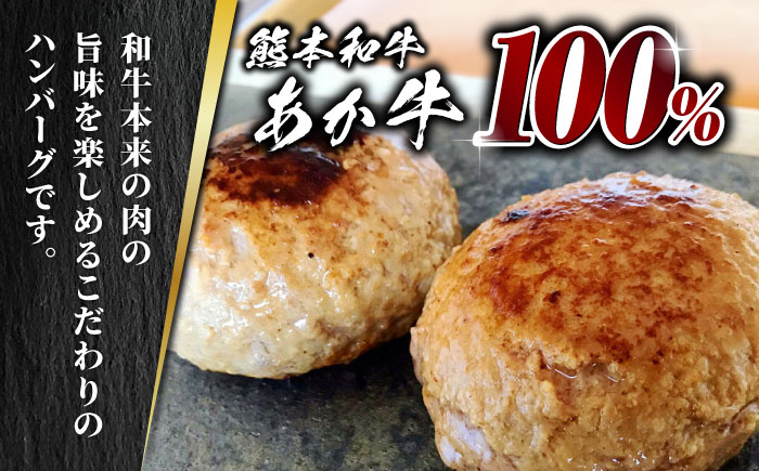 あか牛 100% ハンバーグ 120g × 8個【有限会社 三協畜産】ハンバーグ 牛肉 赤牛 和牛 冷凍 お肉 [ZEB099]