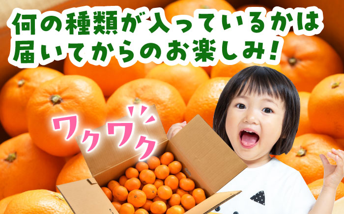 【先行予約】みかん 約5kg【道の駅 水辺プラザかもと】 [ZEG002]