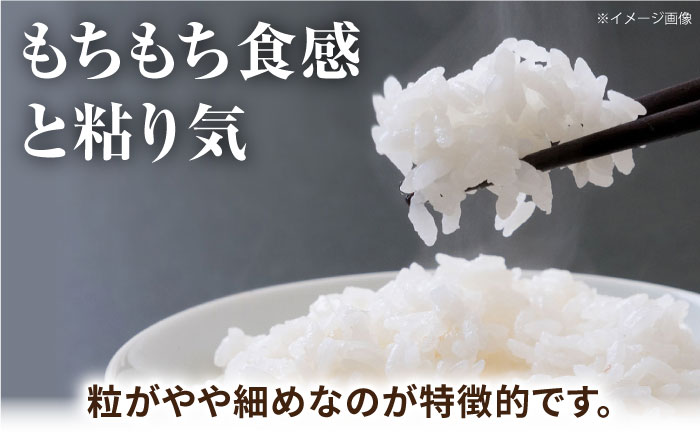 森のくまさん 2kg 【道の駅 水辺プラザかもと】 [ZEG015]