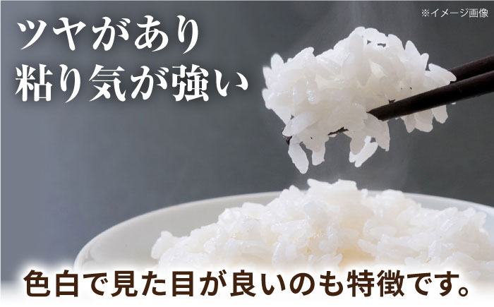 にこまる米 2kg 【道の駅 水辺プラザかもと】 [ZEG016]