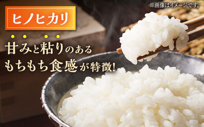 〈令和7年度新米〉ヒノヒカリ・にこまる 白米 食べ比べ 計10kg（5kg×2袋）【竹下農園】 [ZEL003]