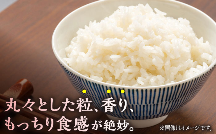 にこまる 白米 計10kg（5kg×2袋）【竹下農園】 [ZEL004]