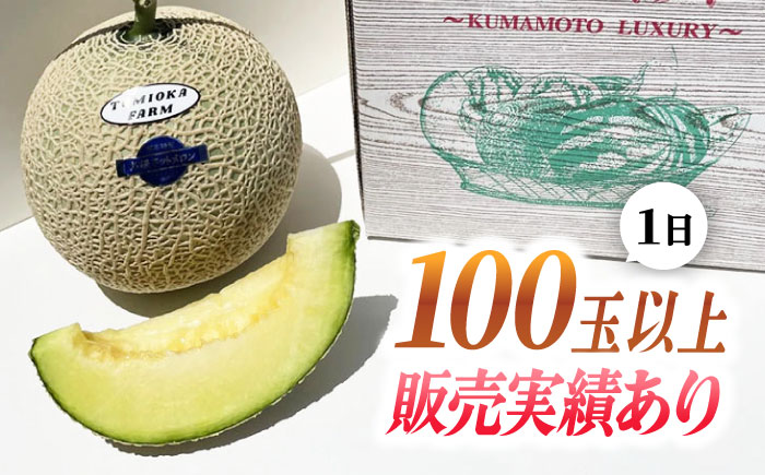 【先行予約】年内発送 愛情 メロン 2玉【とみおか農園】 [ZEM001]